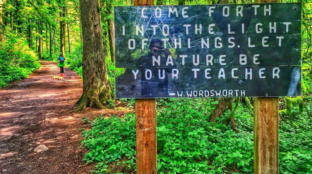 word. nature has always been a great teacher.
.
.
.
.
.
#pnw #wallacefalls #washingtonstate #nature #naturelovers #trekking #hike #thegreatoutdoors #travelgram #wanderlust #pacificnorthwest #tree #forest #seattle #earthday #climatechange #earth #travelphotography #travelawesome #passionpassport #tflers #instagood #naturephotography #naturegram #earthpix #explore #illgrammers #way2ill #natgeo #bbctravel #lifeatexpedia