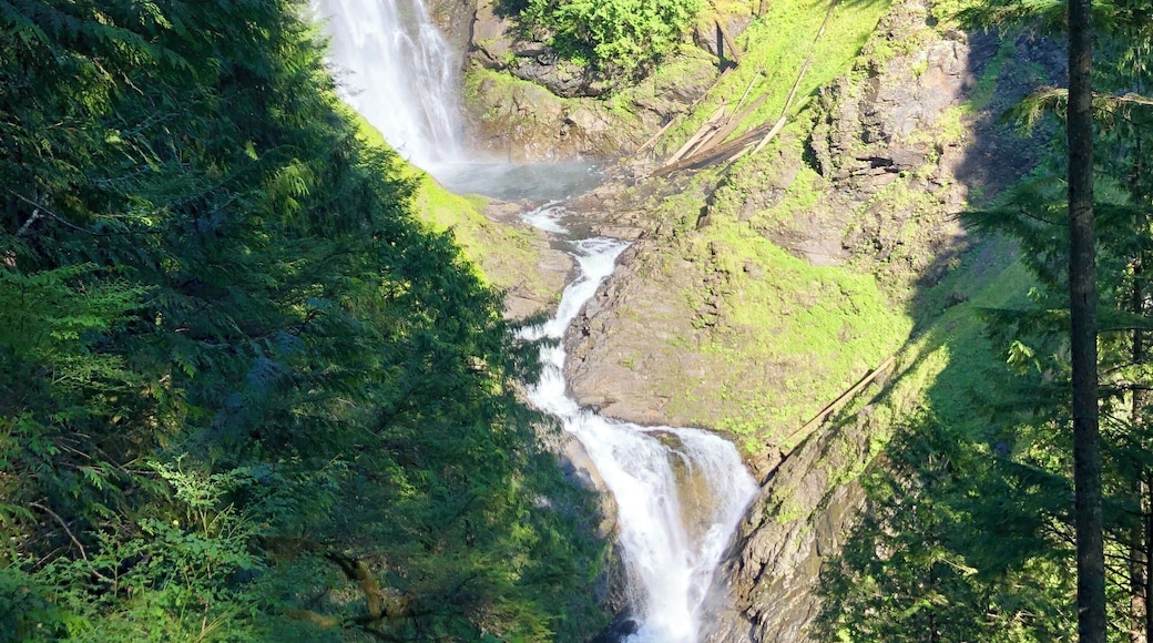 Pretty easy hike, bridge along the trail