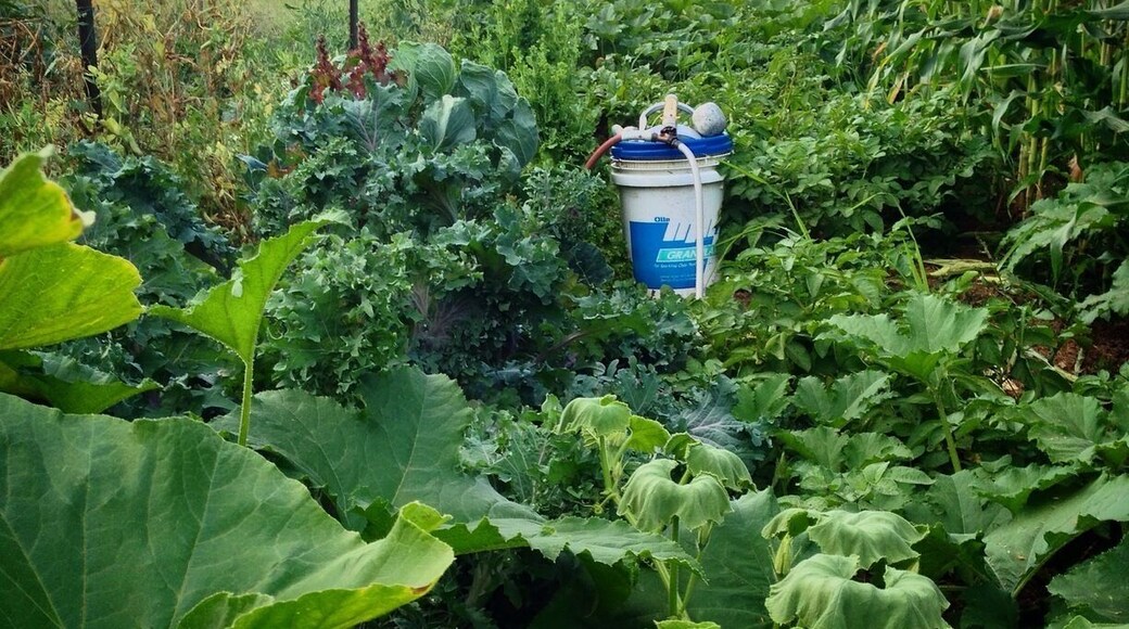 Organic gardening irony.