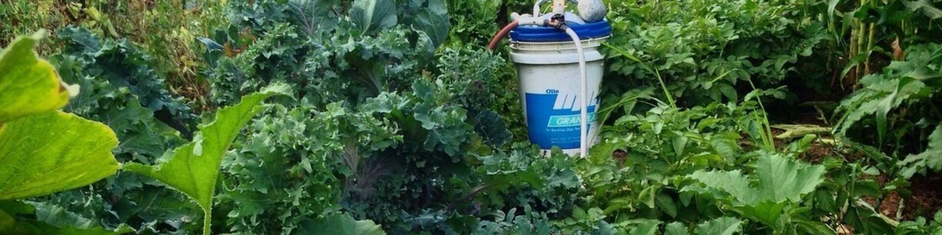 Organic gardening irony.