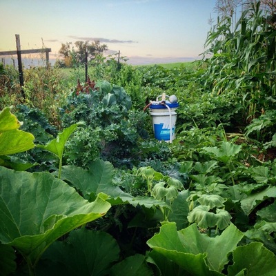 Organic gardening irony.