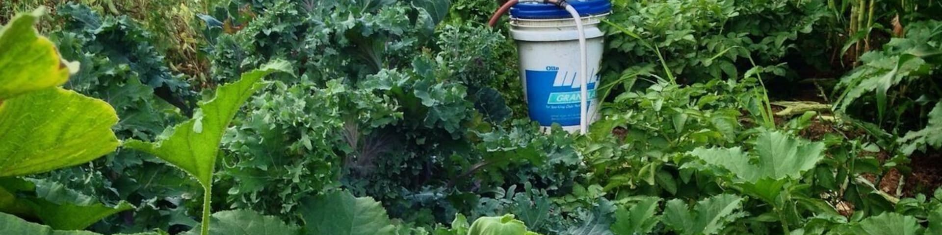 Organic gardening irony.