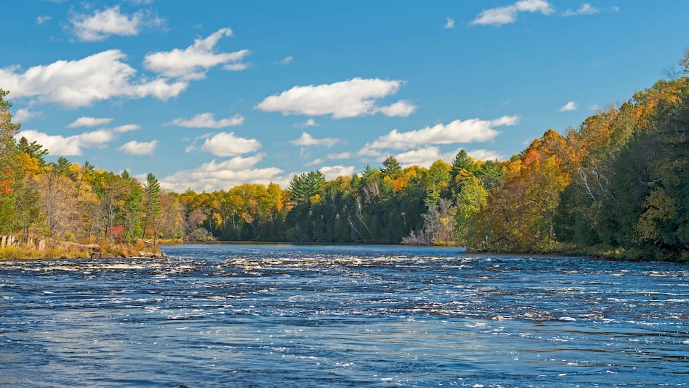 North Woods River Flowing into the Fall Colors