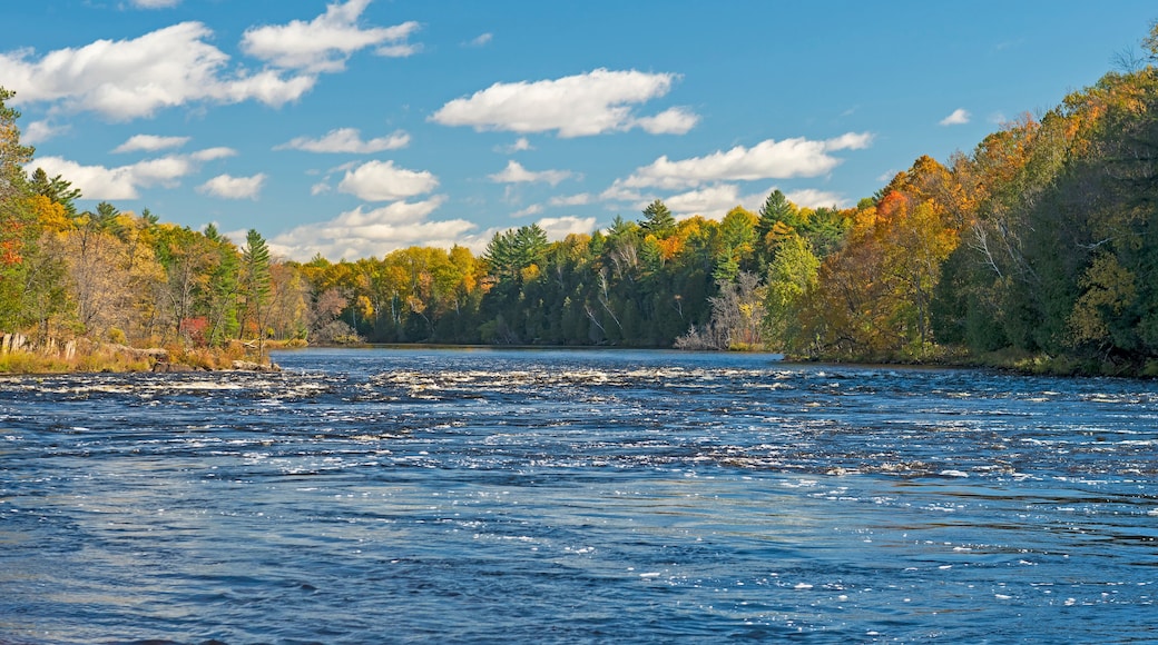 North Woods River Flowing into the Fall Colors