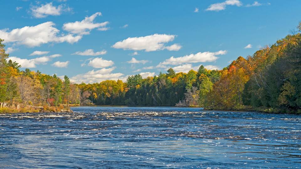 North Woods River Flowing into the Fall Colors