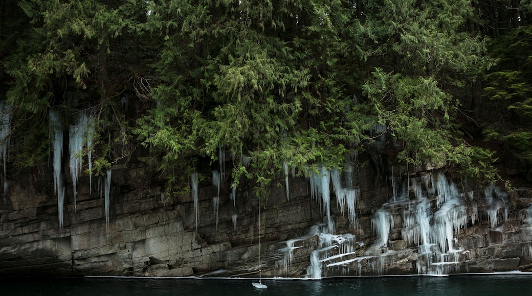 A waterfall cascading over a rocky cliff surrounded by dense green foliage.