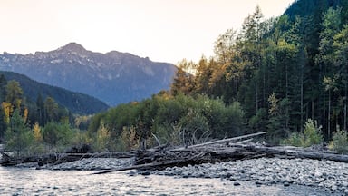 A river with a forest and mountains in the background.