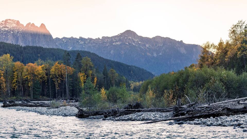 A river with a forest and mountains in the background.