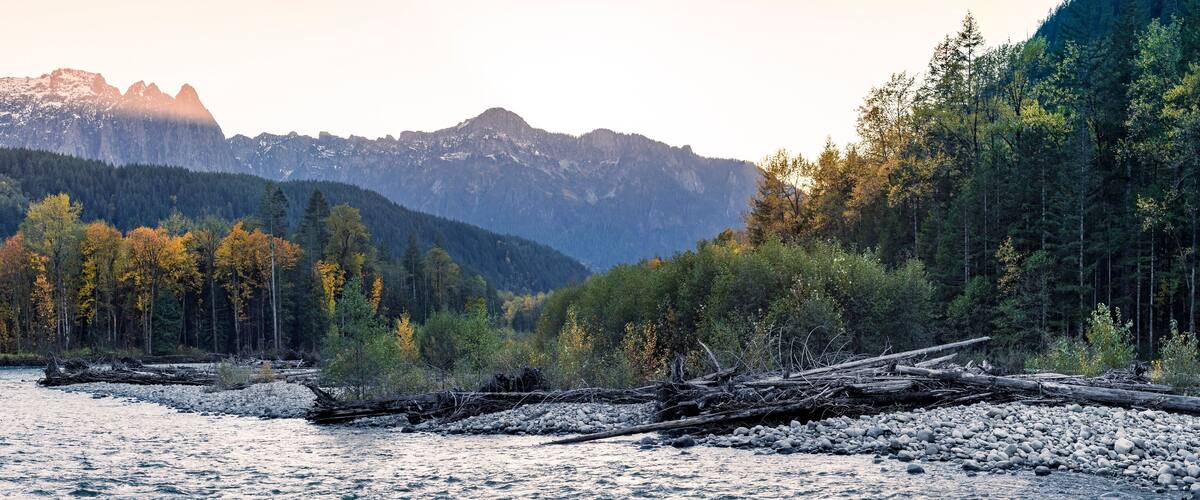 A river with a forest and mountains in the background.