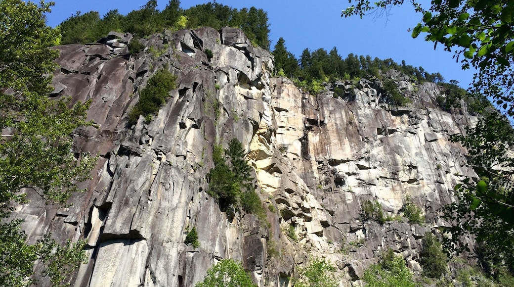 Looking up at the Little Town Wall in Index, Wa. This is where most of the rock climbers were on my way back down.
#greatnorthwest #pnw