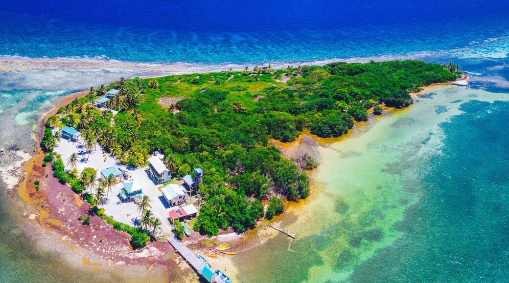 Aerial view of tropical island at Glover's Reef Atoll in Belize Barrier Reef