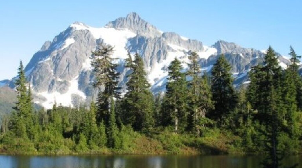 Picture lake and Mt. Shuksan