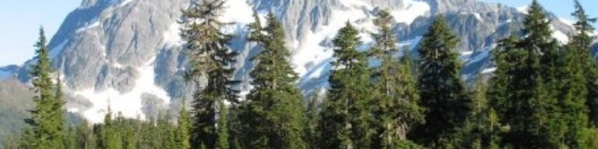 Picture lake and Mt. Shuksan