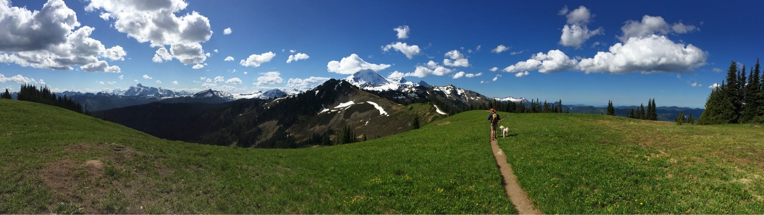Skyline divide hike with a beautiful view of Mt Baker