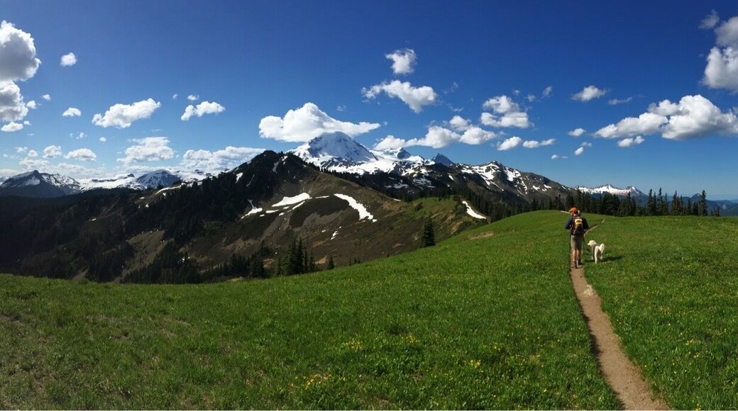 Skyline divide hike with a beautiful view of Mt Baker
