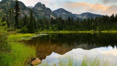 A calm lake surrounded by dense forest and mountains.