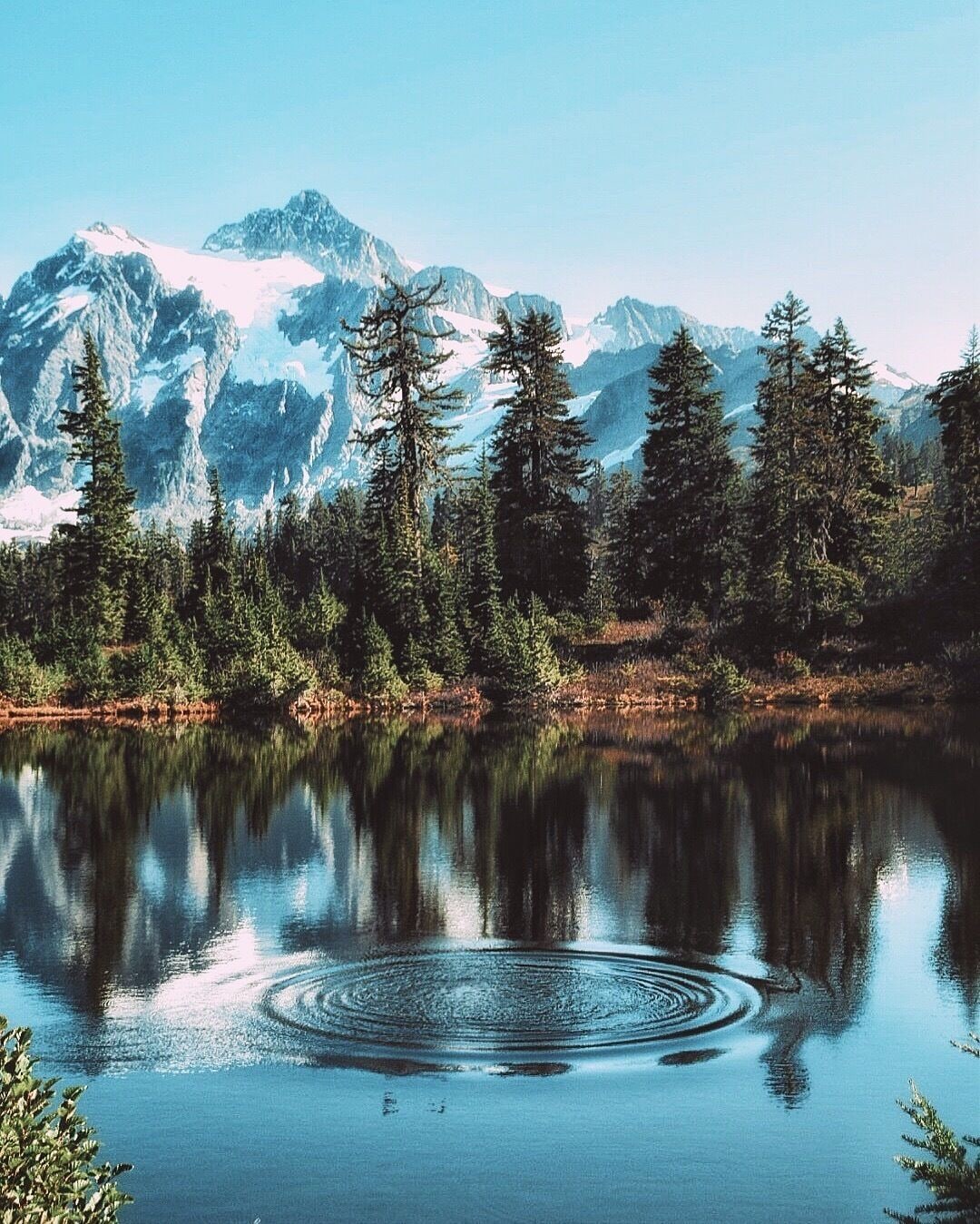 Happy Tuesday everyone #hiking #colorful #roadtrip #nature #lovemytown 