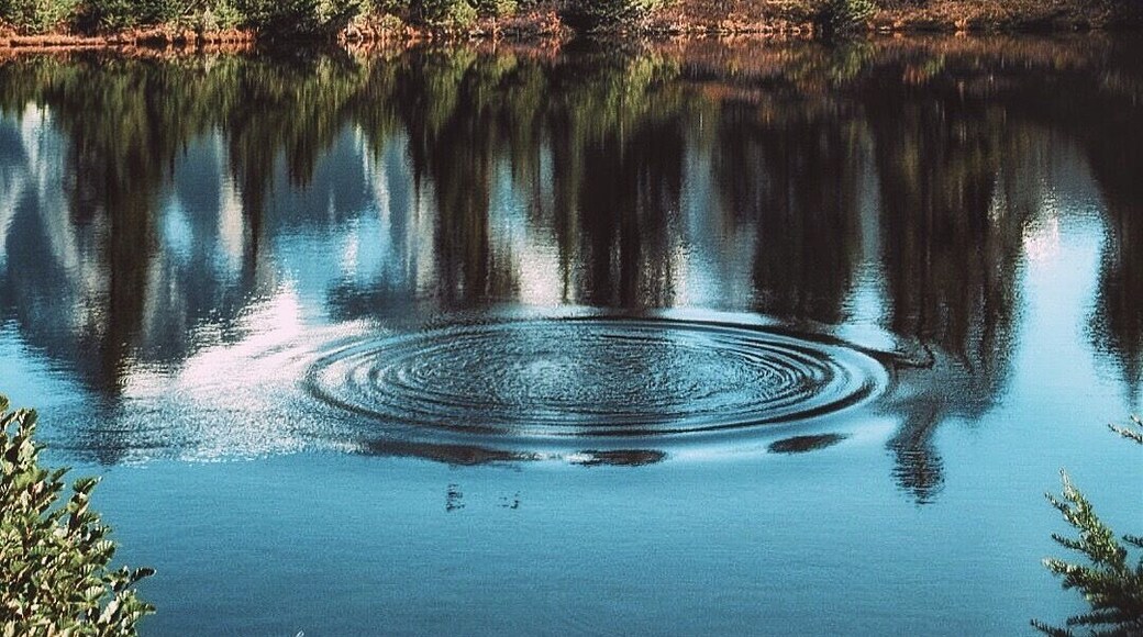 Happy Tuesday everyone #hiking #colorful #roadtrip #nature #lovemytown