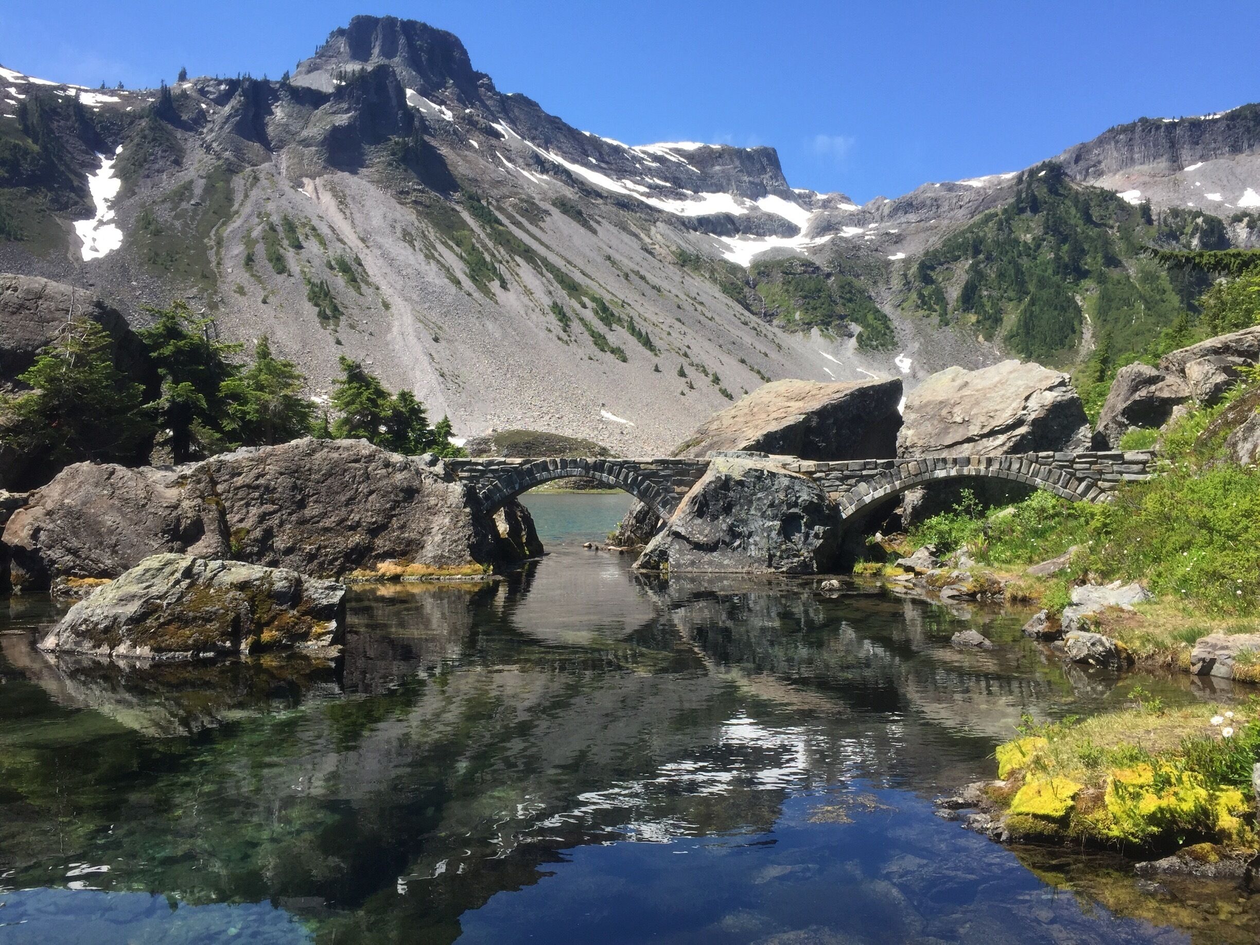 Take a drive to Heather Meadows, near the end of the Mount Baker Highway, east of Bellingham, WA. There are several trailheads that start from the parking lot. We chose the short 1.5 mile hike to Bagley Lakes. You'll catch amazing views of the Mount Baker Wilderness, wild flowers, butterflies and many other things just waiting to be discovered. #hiking