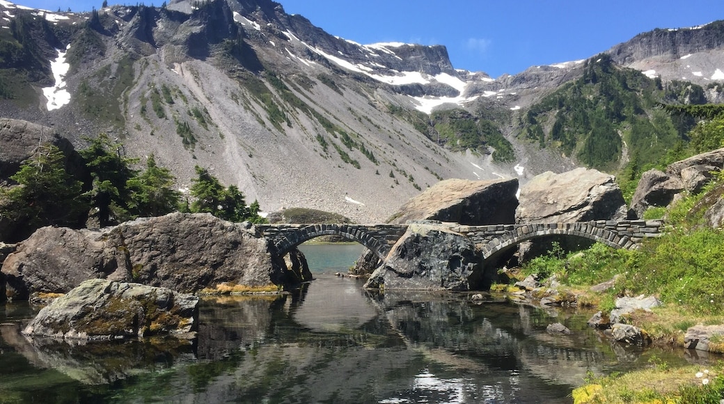 Take a drive to Heather Meadows, near the end of the Mount Baker Highway, east of Bellingham, WA. There are several trailheads that start from the parking lot. We chose the short 1.5 mile hike to Bagley Lakes. You'll catch amazing views of the Mount Baker Wilderness, wild flowers, butterflies and many other things just waiting to be discovered. #hiking