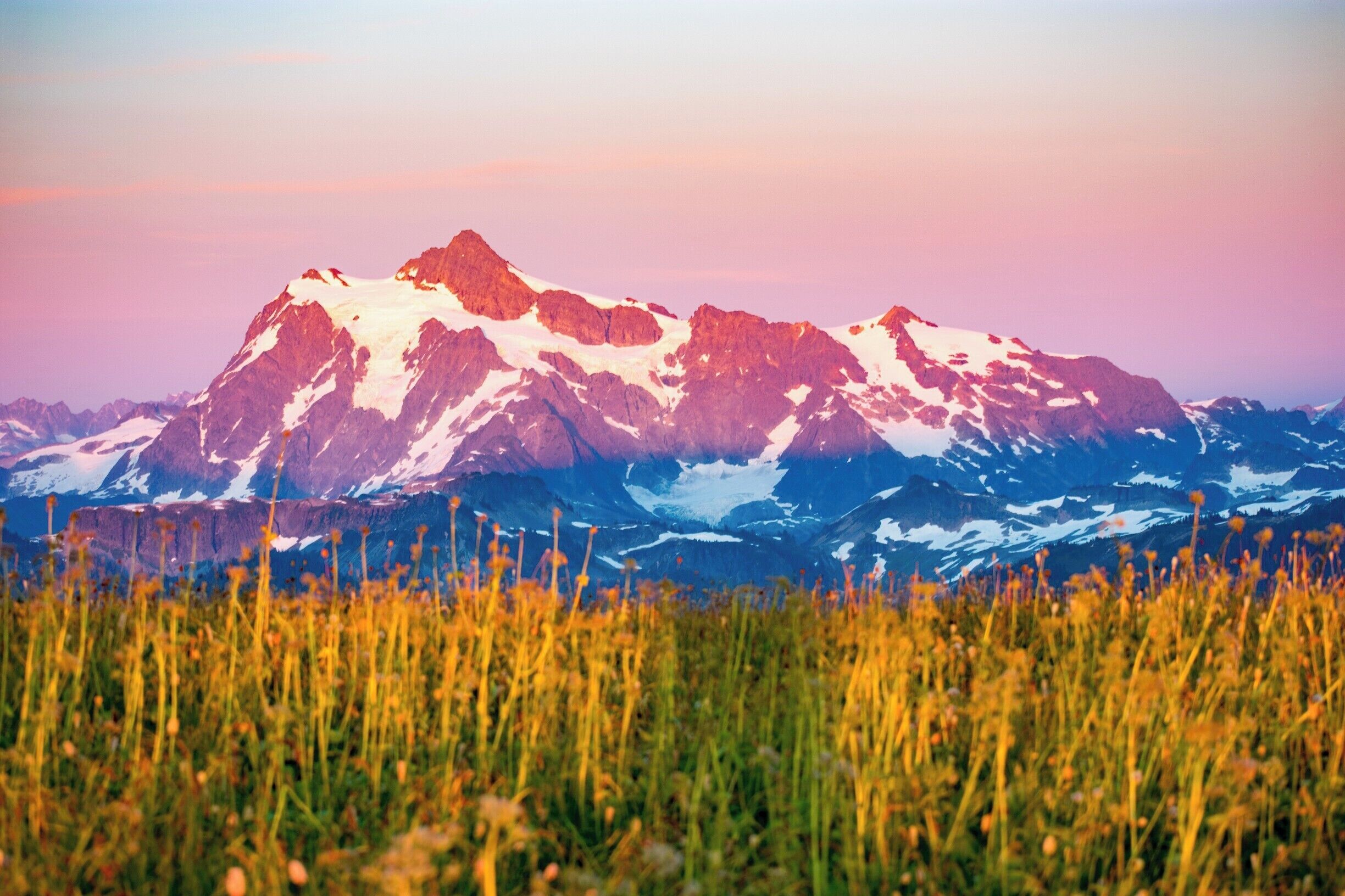 A mountain range with snow-capped peaks and a field of tall grass in the foreground.
