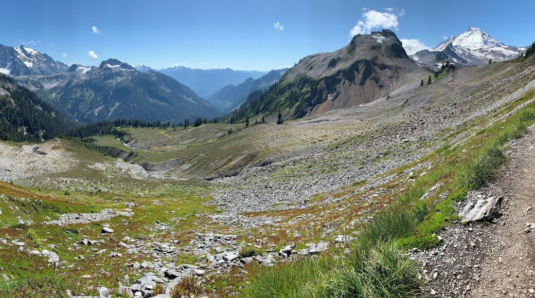 Panoramic view of Mt. Shuksan and Mt. Baker along the Chain Lakes loop trail.
