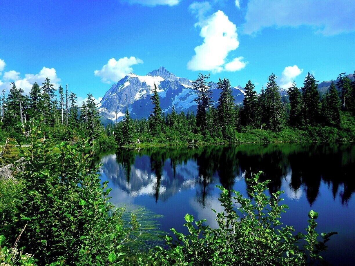A mountain lake surrounded by evergreen trees and a clear blue sky.