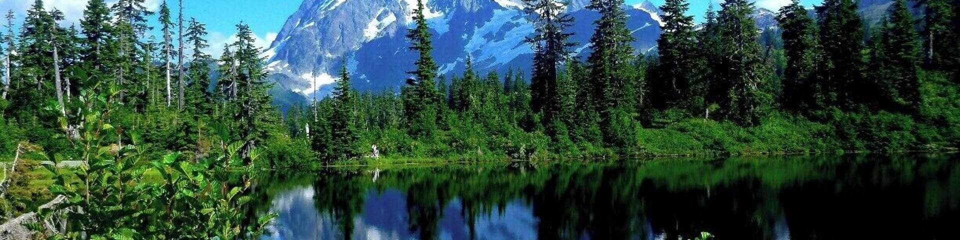 Un lago de montaña rodeado de árboles de hoja perenne y un cielo azul despejado.