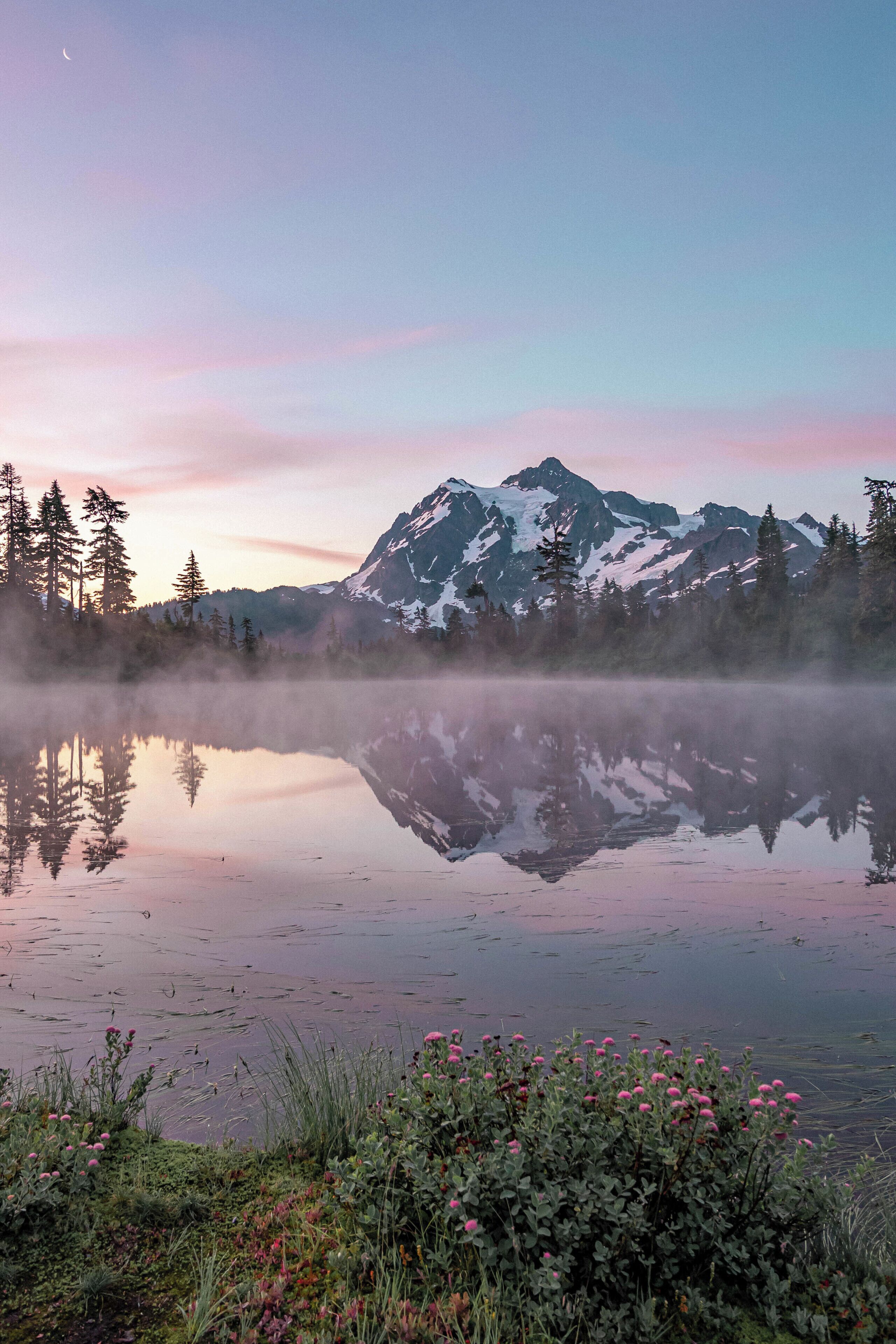 A mountain range reflected in a calm lake with a misty foreground of vegetation.