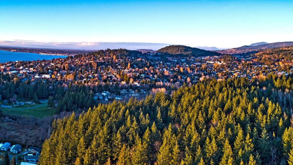 Forest View Bellingham Washington Fairhaven Neighborhood