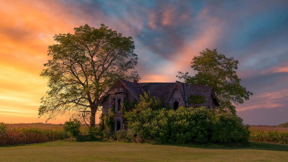A rustic house with a large tree in front, surrounded by a field.