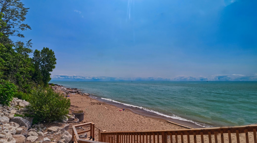 ベイフィールド