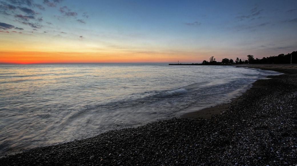 ベイフィールド