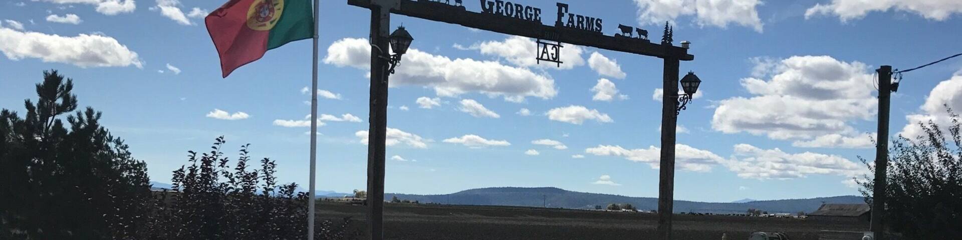 Very remote and very free flag and all