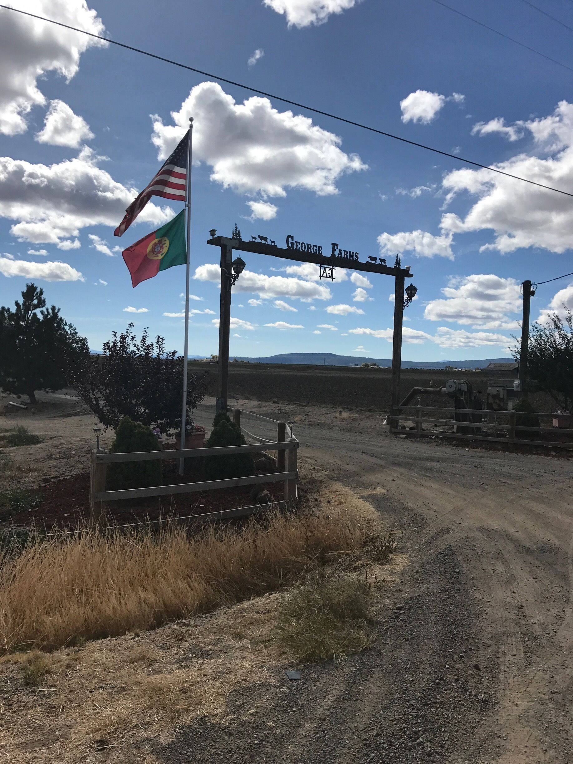 A rural road with a sign reading "George Farms" and a flagpole with a flag.