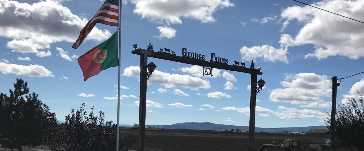 A rural road with a sign reading "George Farms" and a flagpole with a flag.