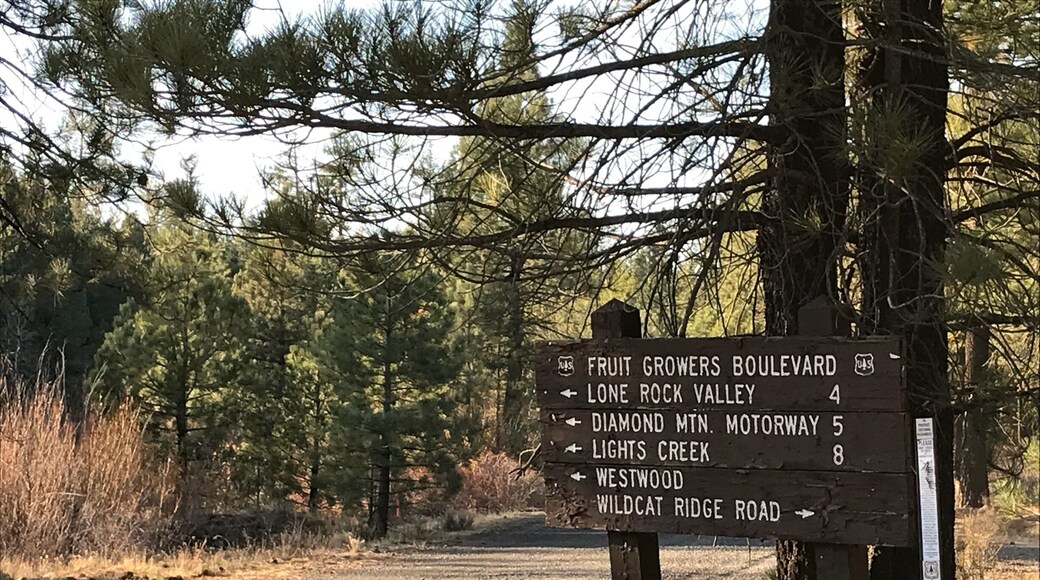 Lots of mining claims so be careful where you go Rockhounding