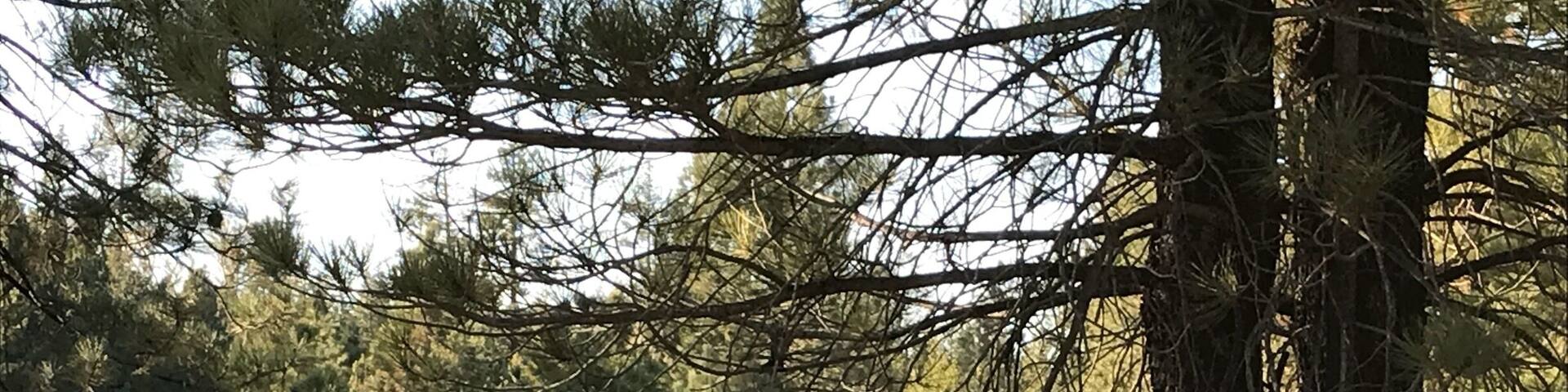 Lots of mining claims so be careful where you go Rockhounding