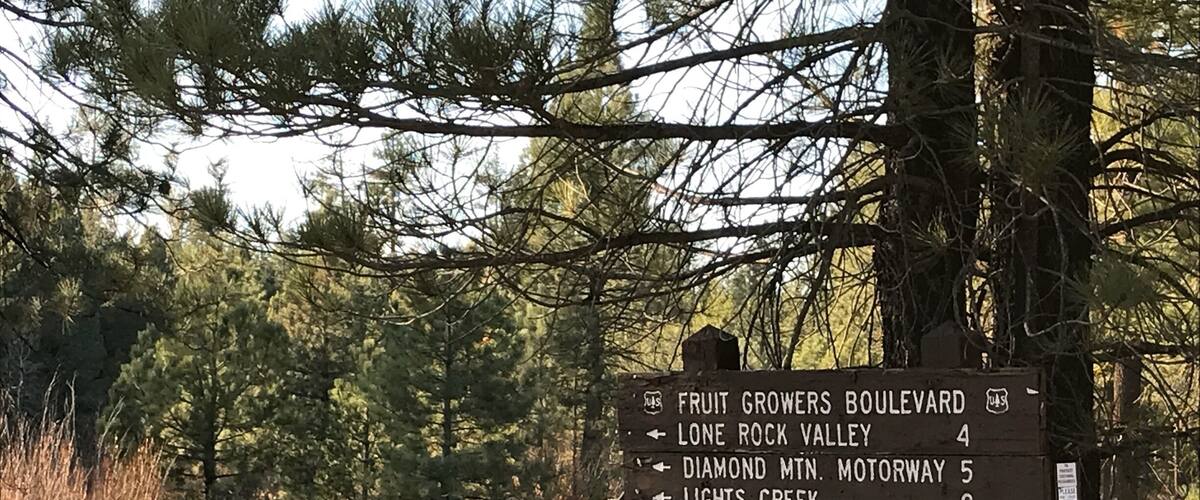 A wooden directional signpost in a forested area with a gravel path.