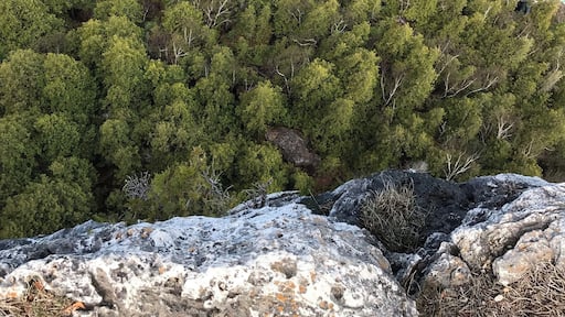 Lion’s Head lookout over the Georgian Bay, in the beautiful Bruce Peninsula