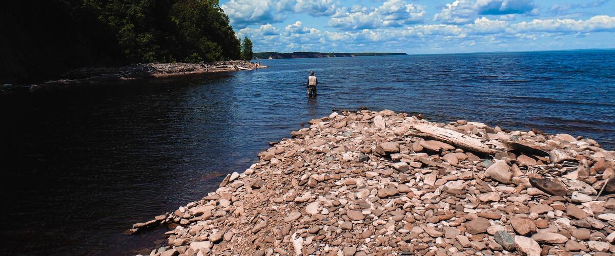 A rocky shoreline with a person fishing in the water, surrounded by trees and a clear blue sky.