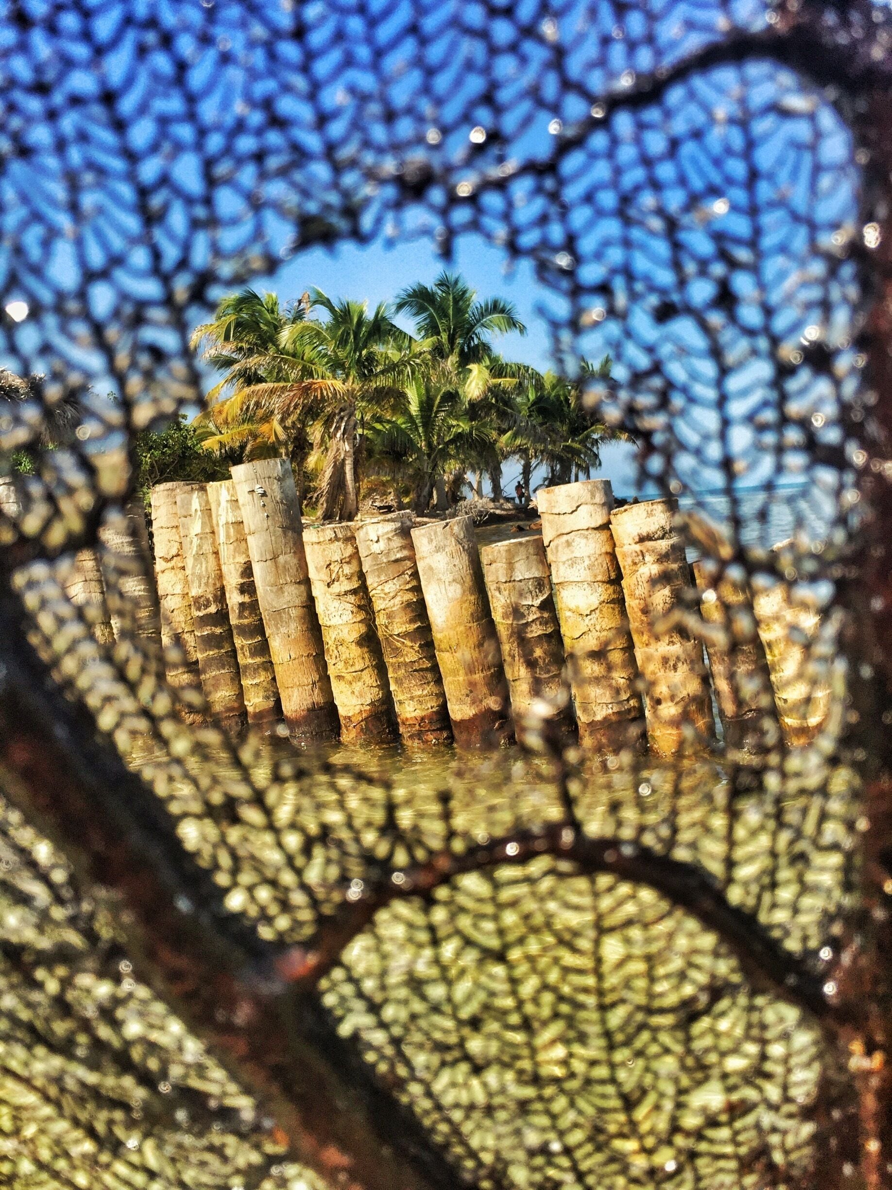 It's Lodge , Long Caye Island , Belize 