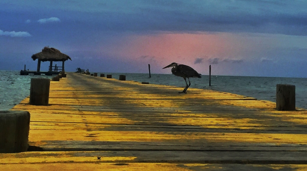 Long Caye island , Belize