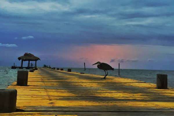 Long Caye island , Belize