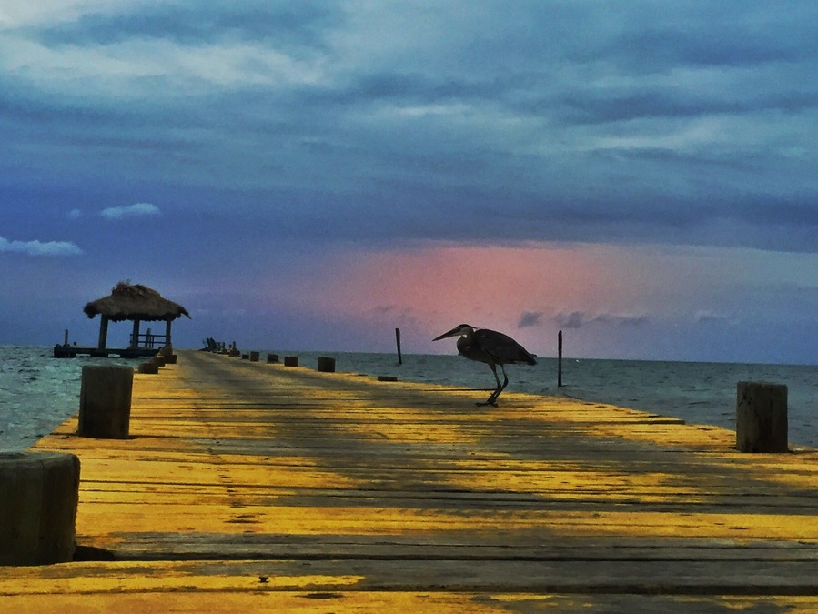 Long Caye island , Belize