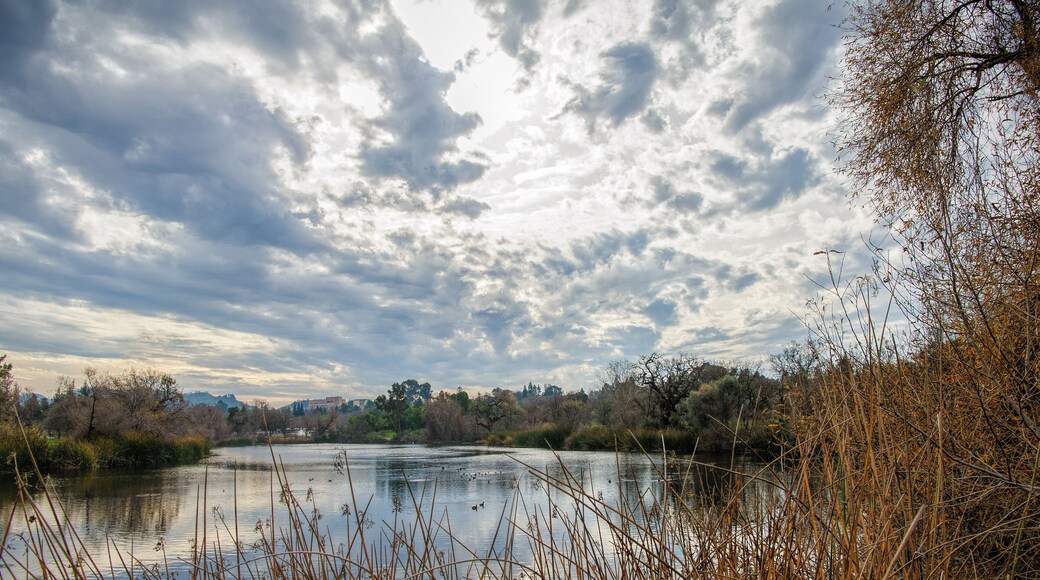 ๋ผ๊ตฌ๋ ์จ์คํธ-๋ ์ดํฌ์ฌ์ด๋