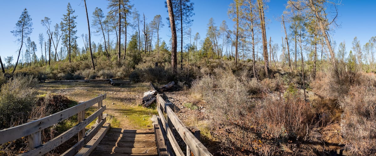 Panorama of the Special Interest Area Traverse Creek Crossing
