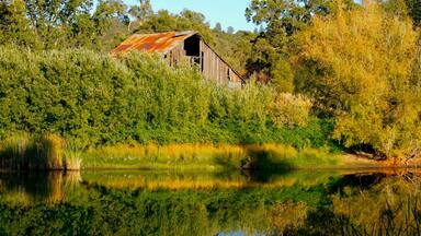While driving through the Sierra Nevada foothills to Placerville, Lynn and I decided to take local roads and noticed this lake. The water was completely flat and provided a clear reflection. Sometimes it is nice to find unexpected little gems in your local area.
#Golden