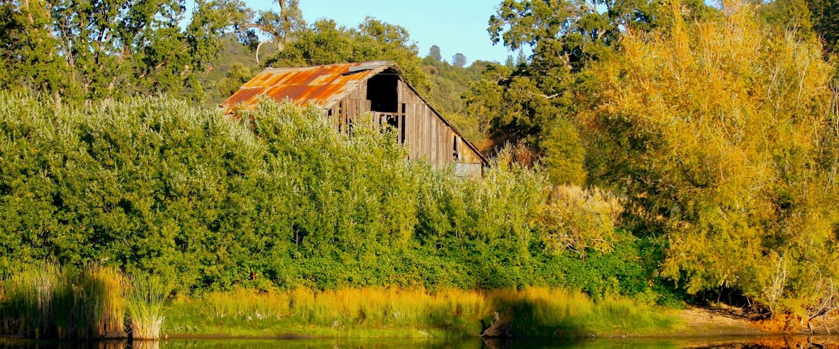 A rustic barn surrounded by dense foliage and a calm lake reflecting its structure.