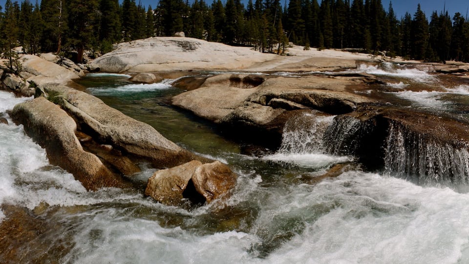 A river flowing over rocks with a waterfall, surrounded by a forested area.